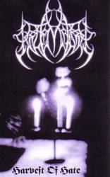 Keltensturm : Harvest of Hate